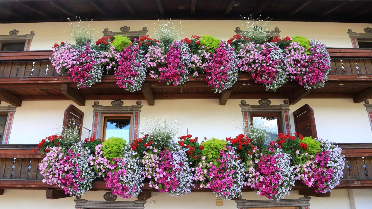 Apartment Edith Telfes im Stubai Zewnętrze zdjęcie